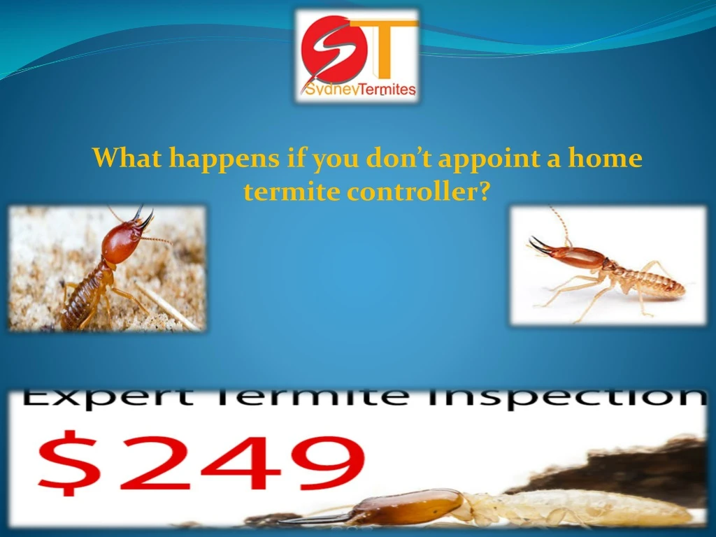 what happens if you don t appoint a home termite