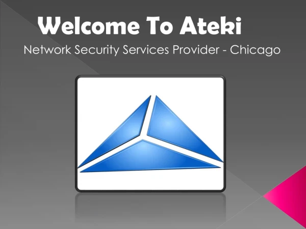 Network Security Services Provider - Chicago