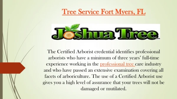 Tree Service Fort Myers, FL