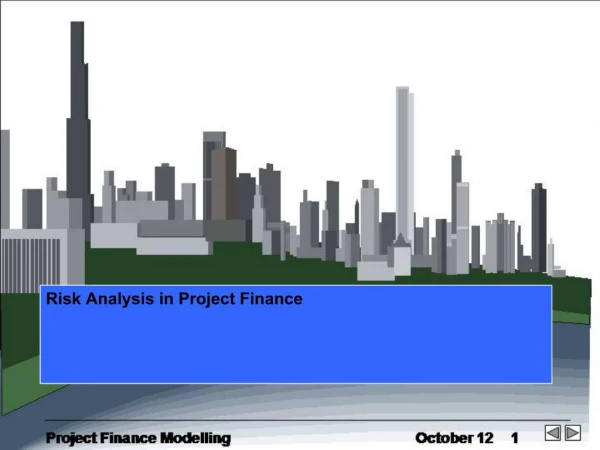 Risk Analysis in Project Finance