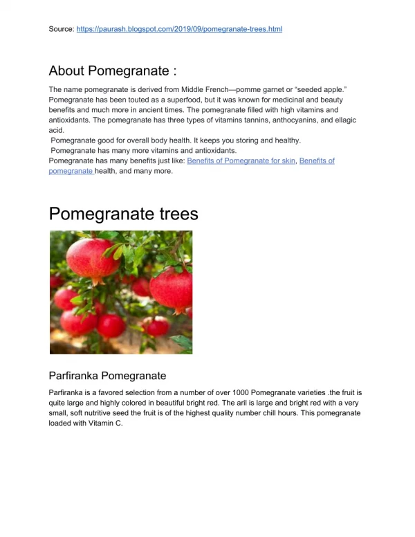 Pomegranate trees