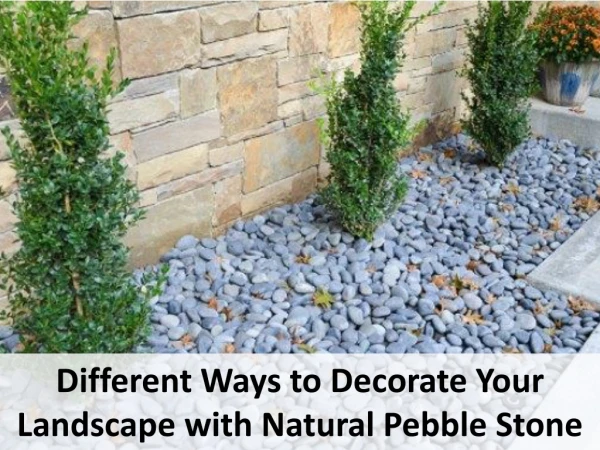 Different Ways to Decorate Your Landscape with Natural Pebble Stone