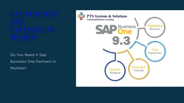 Do You Need A Sap Business One Partners In Mumbai?