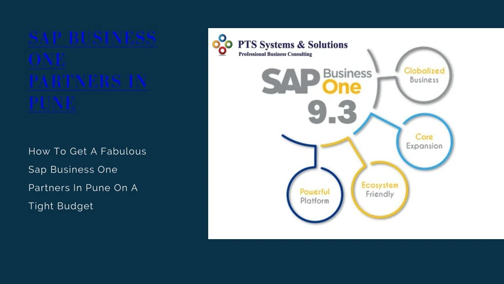 sap business one partners in pune