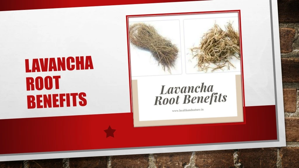 lavancha root benefits