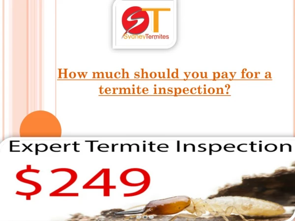 How much should you pay for a termite inspection?