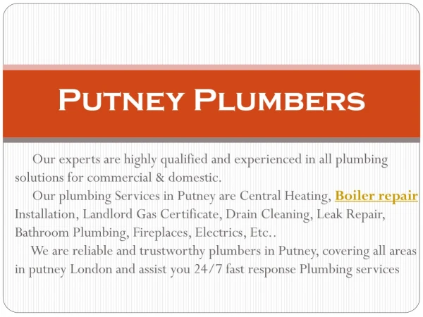 putney plumbers