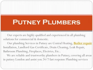 putney plumbers
