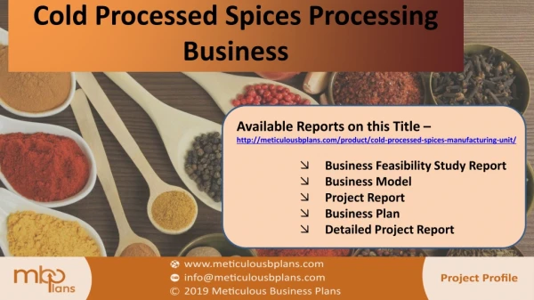 Cold Processed Spices Manufacturing Business