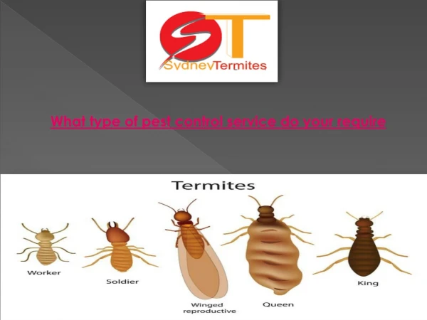 What type of pest control service do your require