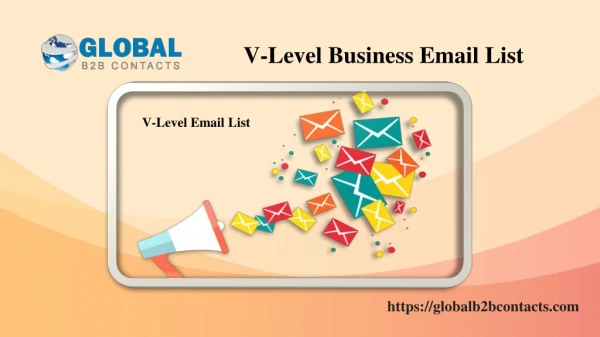 V Level Business Email List