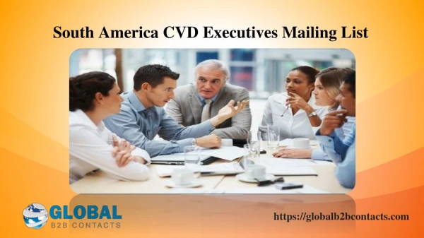 South America CVD Executives Mailing List