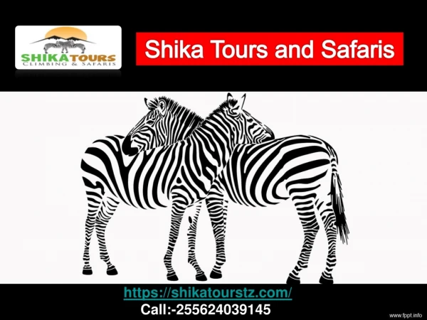 Shika Tours and Safaris