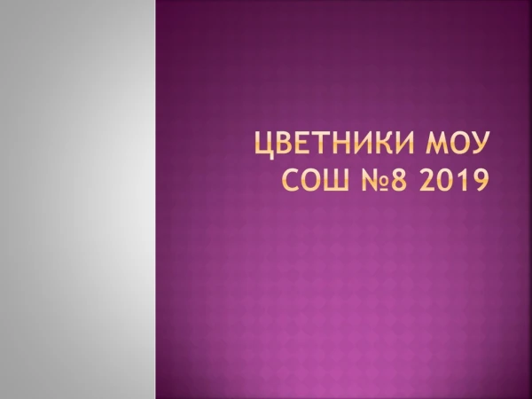Цветники МОУ СОШ №8 2019