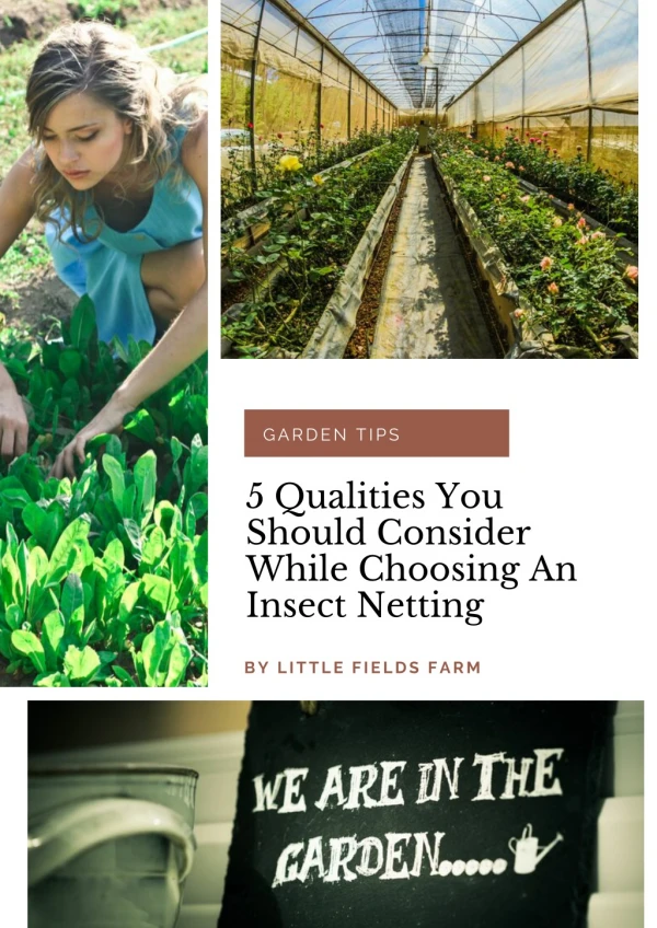 5 Qualities You Should Consider While Choosing An Insect Netting