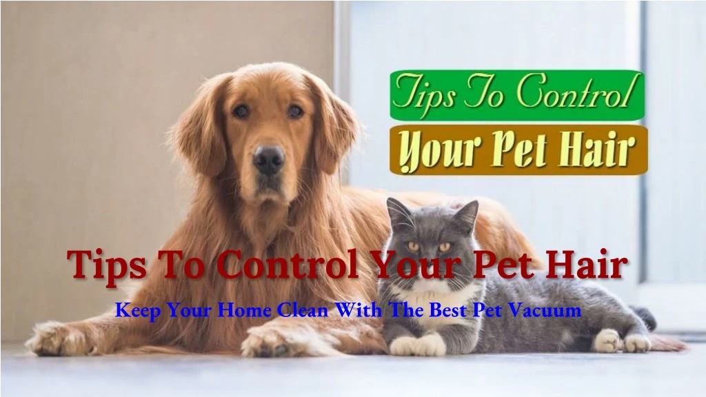 tips to control your pet hair