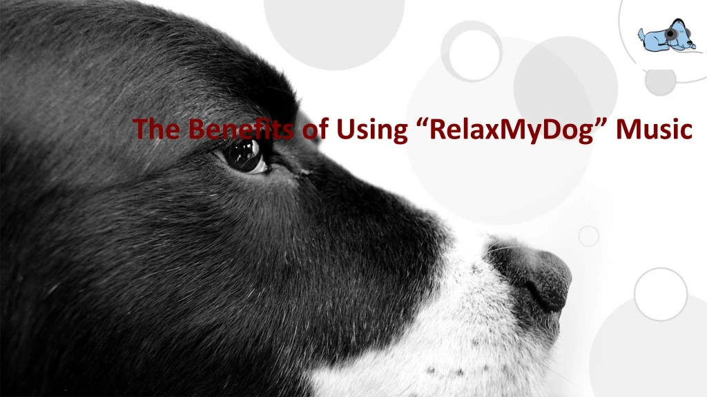 the benefits of using relaxmydog music