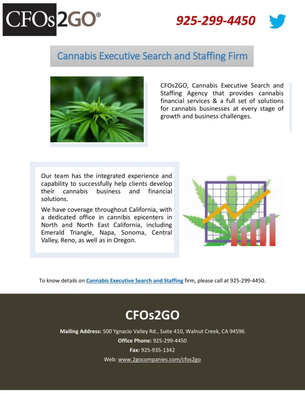Cannabis Executive Search and Staffing Firm
