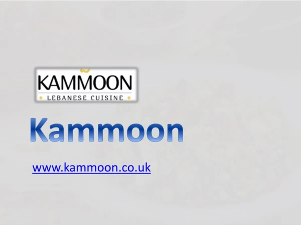 Party Food Catering - kammoon.co.uk