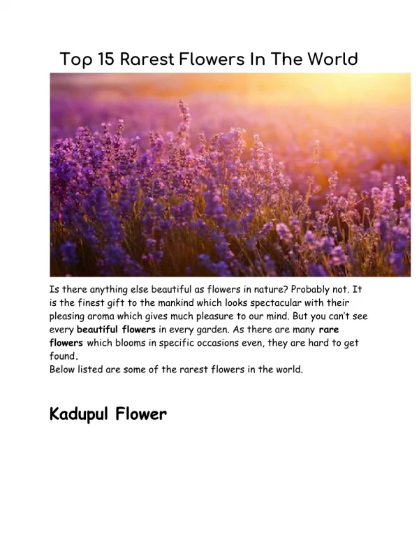 Top 10 Rarest Flower In The World