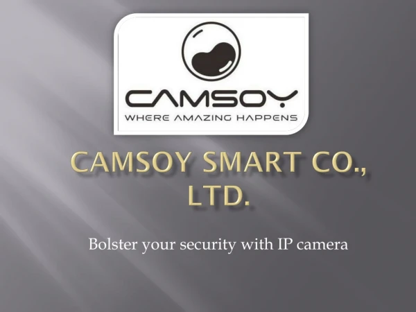 Mini ip camera outdoor, mini ip camera manufacturer - camsoy.com