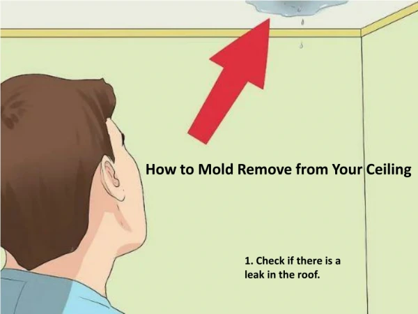 How to Mold Remove from Your Ceiling