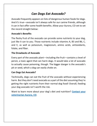 Can Dogs Eat Avocado? - slide 1