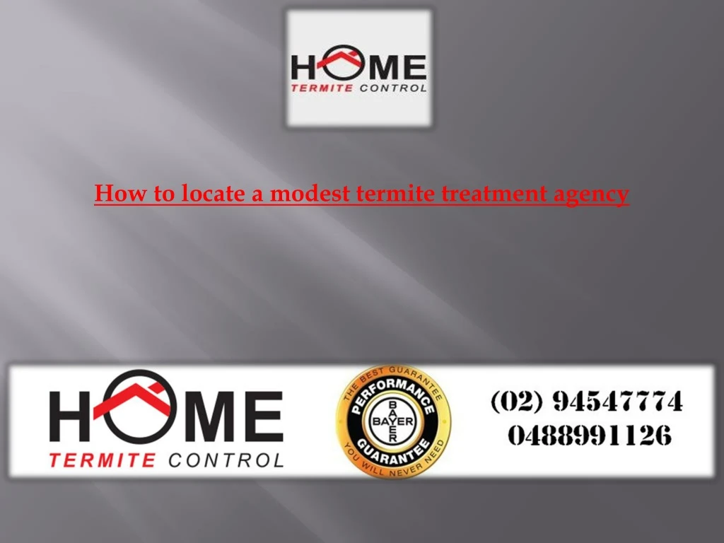 how to locate a modest termite treatment agency