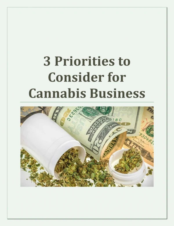 3 Priorities to Consider for Cannabis Business