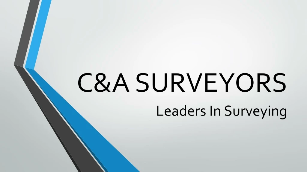 c a surveyors leaders in surveying