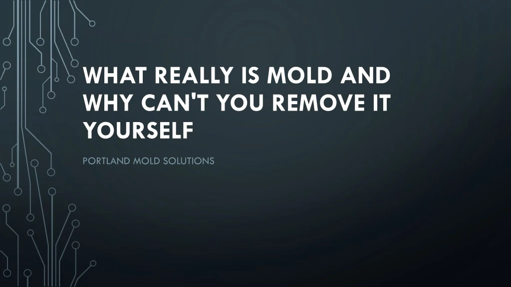 what really is mold and why can t you remove it yourself