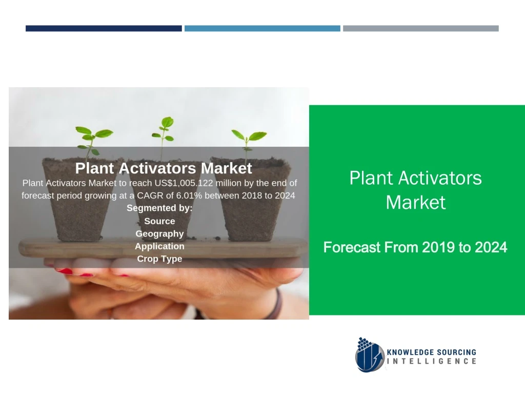 plant activators market forecast from 2019 to 2024