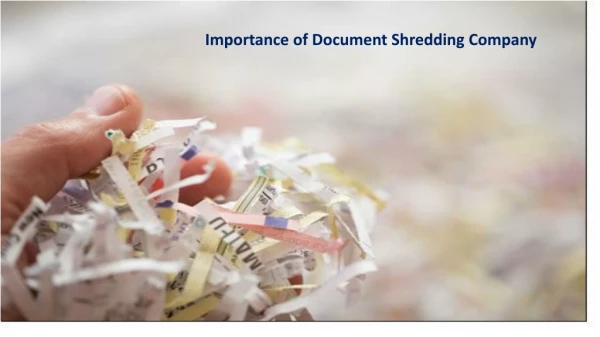 Importance of Document Shredding Company