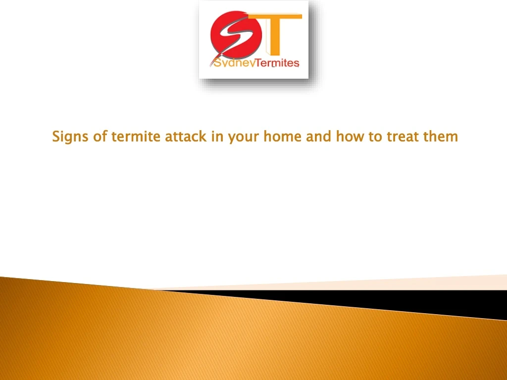 signs of termite attack in your home