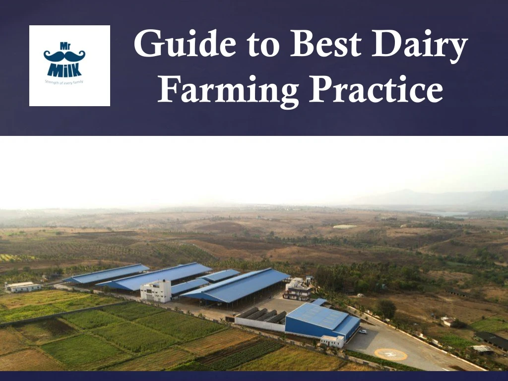 guide to best dairy farming practice
