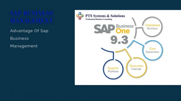 sap business management