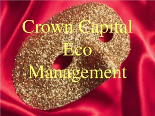 Crown Capital Eco Management - The Company - slide 1
