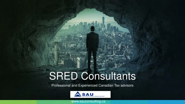 Expert in CRA Tax Assessments - SAU Consulting