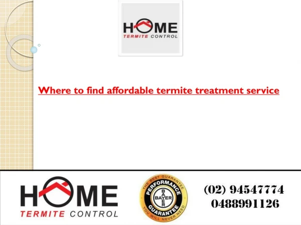 Where to find affordable termite treatment service