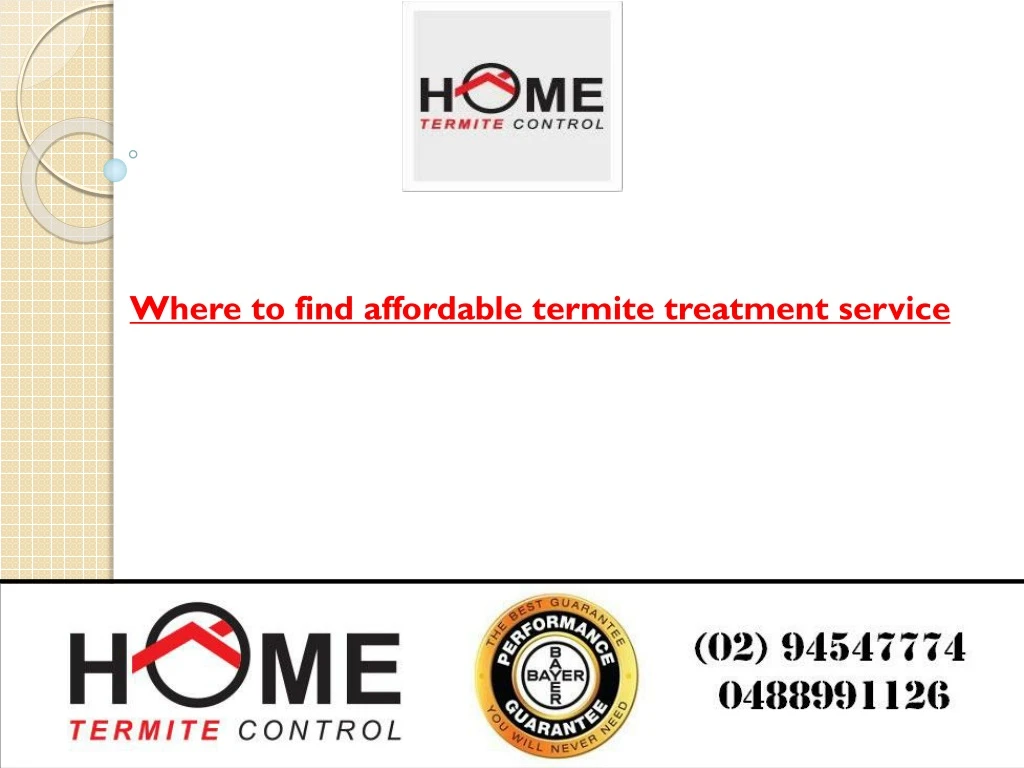 where to find affordable termite treatment service