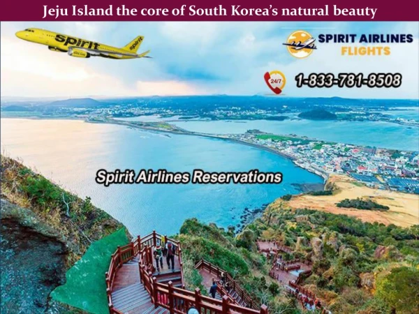 Best attractions not to miss out in Jeju Island South Korea
