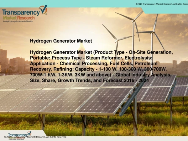 Hydrogen Generator Market-Global Industry Analysis, Size, Share, Growth Trends, and Forecast 2016 - 2024