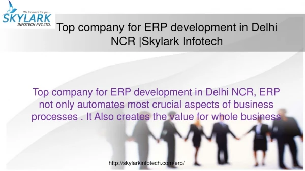 Top company for ERP development in Delhi NCR |Skylark Infotech