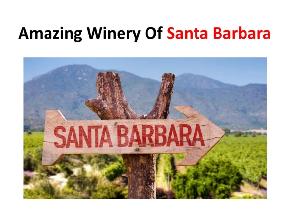 Amazing Winery of Santa Barbara