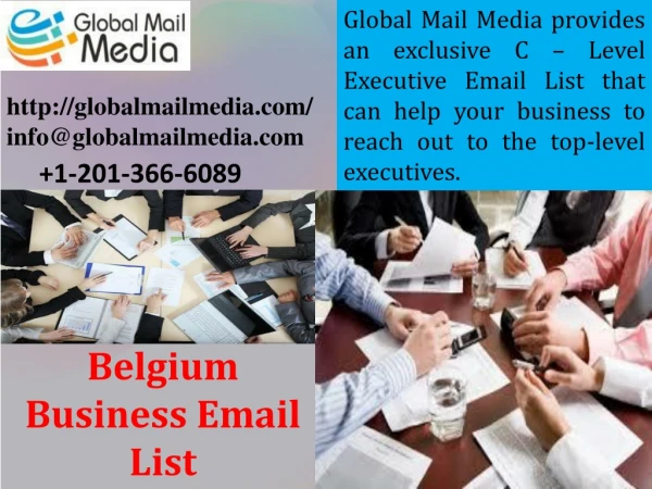 global mail media provides an exclusive c level