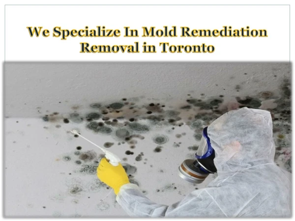 We Specialize In Mold Remediation Removal in Toronto