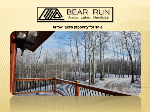 Arrow lakes property for sale
