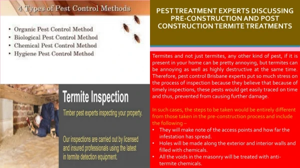 Pest Treatment Experts Discussing Pre-Construction and Post Construction Termite Treatments