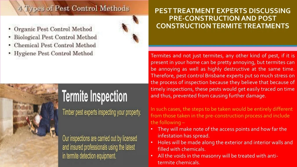 pest treatment experts discussing pre construction and post construction termite treatments