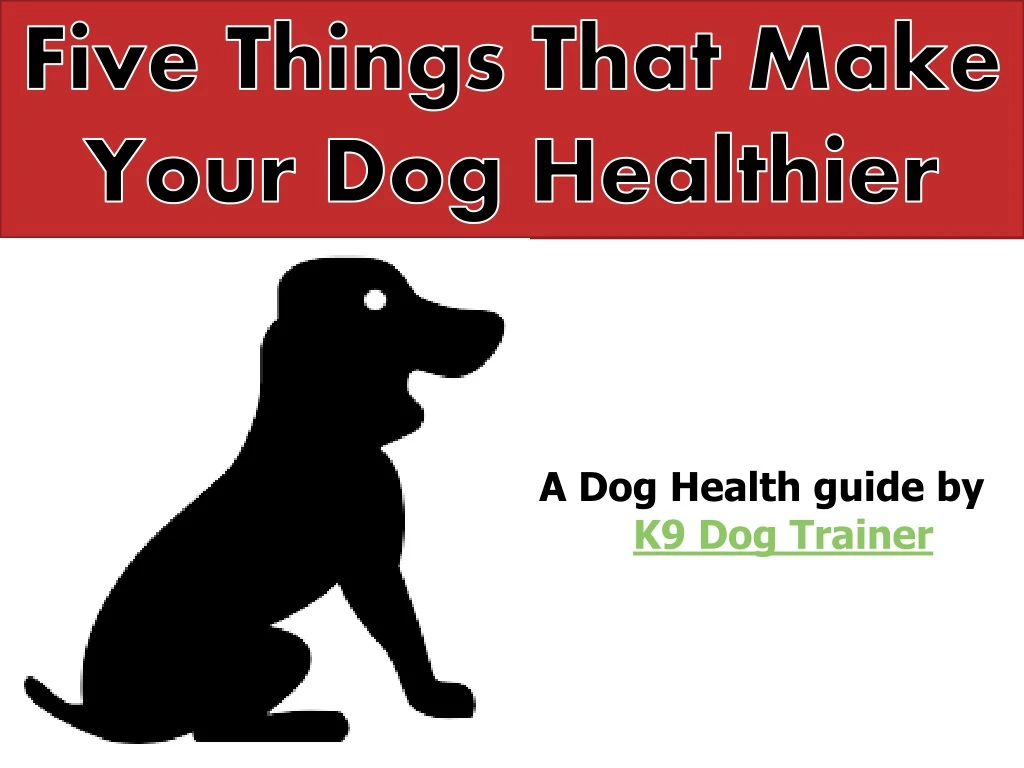 five things that make your dog healthier